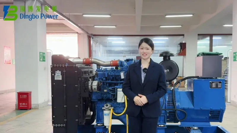 Bagaimana Cara Menambahkan Bahan Bakar, Oli, dan Coolant ke Genset Diesel